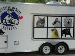 Custom Pet Adoption Millennium Trailer