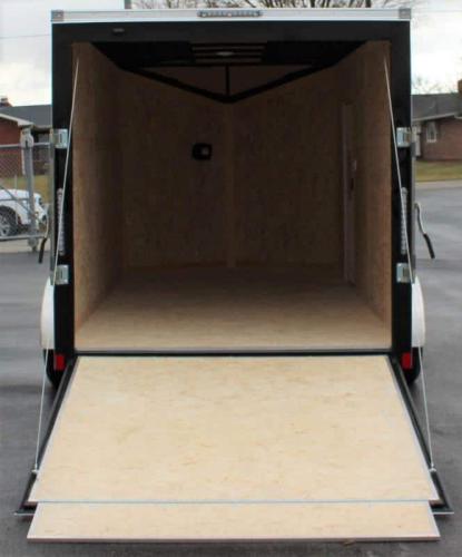 Enclosed Cargo Trailer